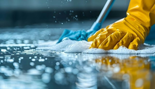 Regular Cleaning